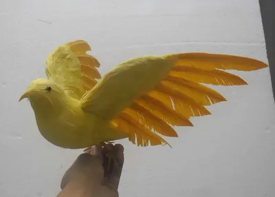 Желтая птичка - 58 фото