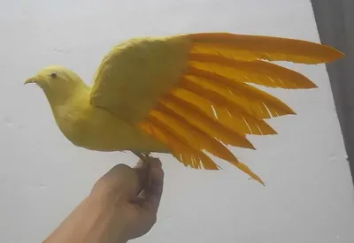Летящая желтая птица PNG , Птичка, птица, Фотографии птиц PNG рисунок для  бесплатной загрузки