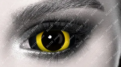 Купить Контактные линзы-склеры Желтые кошачьи глаза (YELLOW-CAT-EYE) в  Алматы по низкой цене 172 000 KZT. Дешево! Все для аквагрима от Prizma.  Грим спецэфекты широкий ассортимент