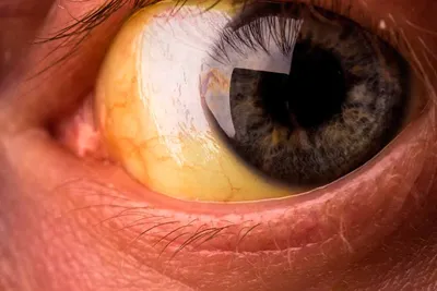 Krasotta Цветные контактные линзы для глаз 0.0