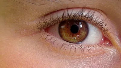Линзы желтый кошачий глаз, светятся в УФ, без диоптрий, срок ношения 90  дней (Великобритания) купить