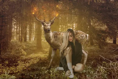 Портрет молодой женщины в лесу · Бесплатные стоковые фото