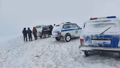 По 500 человек в день бесплатно кормит женщина в Экибастузе