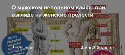 Идеальная спутница глазами успешных омских мужчин | Новости | MC2. Cветская  жизнь Омска.