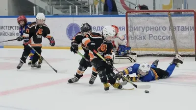 Женский хоккейный клуб из Кохтла-Ярве стал чемпионом Эстонии по хоккею -  Delfi RUS