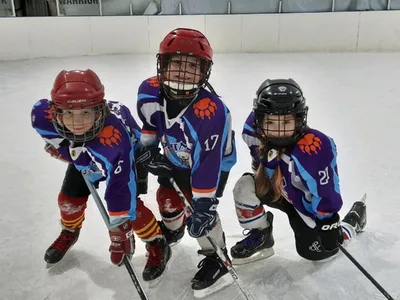 Женский хоккей: смогут ли девочки стать профессионалами?