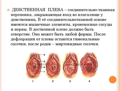 Зачем женщины после родов употребляют плаценту и чем опасен этот тренд