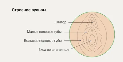 Как я сделала бесплатную операцию из-за опущения матки