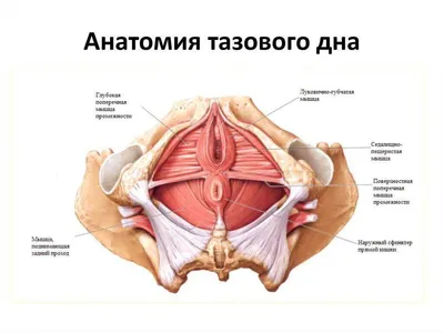 Искусство любви [Михалина Вислоцкая] (fb2) читать онлайн | КулЛиб  электронная библиотека