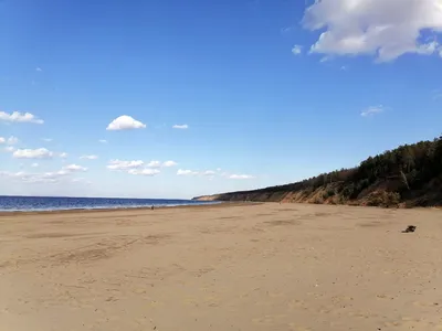 Жигулёвское море в Самарской области превращается в озеро: объясняем,  почему уходит Волга