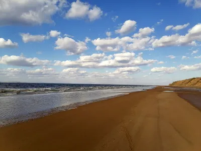 Жигулёвское море в Самарской области превращается в озеро: объясняем,  почему уходит Волга