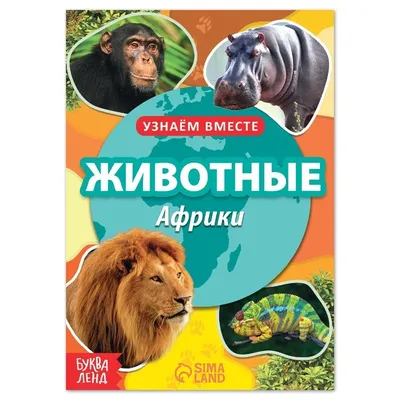 Купить MPZCAN20-M Collection ANIMALS. Животные Африки.200 деталей. Размер  20,5 х 29см. Средний размер детал Пазлы и 3Д пазлы - цена от 581 ₽ в  Симферополе