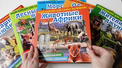 Комплект «Животные Африки» — Marivanna.store