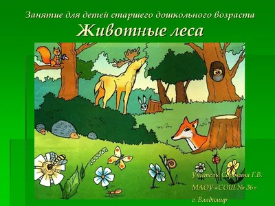 Минэкологии не смогло предоставить данные о популяции животных в горящем  лесу в Абае до пожара