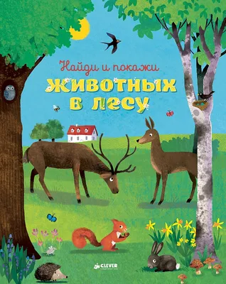 мелкие животные дикого леса картинки: 6 тыс изображений найдено в  Яндекс.Картинках | Животные, Дикие животные, Дикие