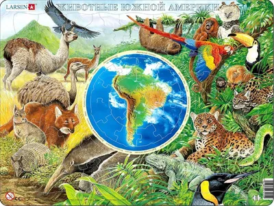 Животные Южной Америки Vector гуанако и игуана шаржа, муравьед и оцелот,  тапир и броненосец на белизне Иллюстрация вектора - иллюстрации  насчитывающей иллюстрация, ящерица: 113628171