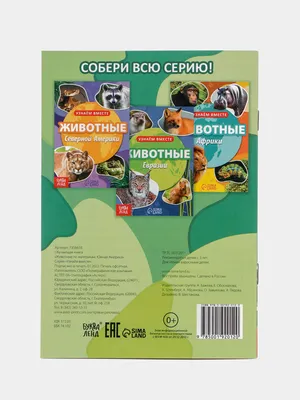 Животные Южной Америки • Не указан | Купить книгу в Фантазёры.рф | ISBN:  4607054090757