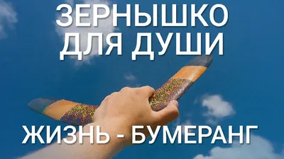 Мудрость жизни - ЖИЗНЬ — БУМЕРАНГ. К тому ведется: Что отдаете, то и  вернется. То, что посеешь — то и пожнешь, Ложью пробьется Ваша же ложь.  Каждый поступок имеет значенье; Только прощая,