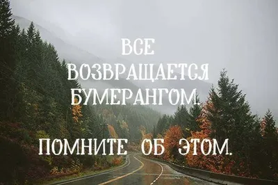 жизнь бумеранг 🔄✓ | Instagram