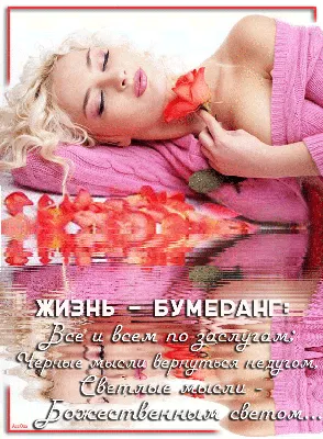 Жизнь – бумеранг. К тому и ведётся: что отдаёте, то и вернётся. То, что  посеешь – то и пожнёшь, ложью пробьётся ваша же... - Лента новостей ДНР