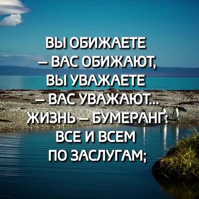 💥Жизнь - бумеранг. 💥 К тому и ведётся: что отдаёте, то и вернётся. 💥То,  что посеешь, то и пожнёшь, ложью пробьётся.. | ВКонтакте