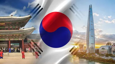 Плюсы и минусы жизни в Корее | Пикабу
