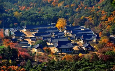 Путешествие всей жизни: едем в Кванджу и регион Чолла в Южной Корее |  Ассоциация Туроператоров