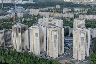 Воронежский застройщик возведет рядом с парком «Дельфин» жилой комплекс