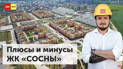 «День гостеприимства» в Эко-парке «сосны»: Хорошие соседи, веселые друзья -  KP.RU