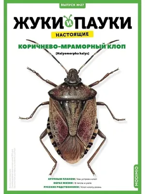 Жуки и пауки, Выпуск №27, Коричнево-мраморный клоп MODIMIO 56184933 купить  за 449 ₽ в интернет-магазине Wildberries