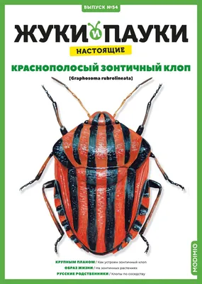 В поездке на дачу не удержался от экспериментов с макро-камерой в телефоне.  / сфотографировал сам :: фотоклуб :: клопы :: жуки :: фото / смешные  картинки и другие приколы: комиксы, гиф анимация, видео, лучший  интеллектуальный юмор.