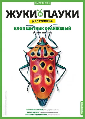 MacroID.RU - Клоп-солдатик (Pyrrhocoris apterus L.)