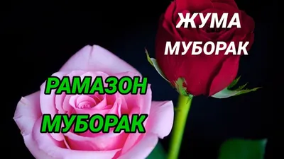 ЖУМА МУБОРАК 🍃🌙🍃🌙🍃🌙🍃🌙🍃 Айтмок истаб сизга гапларим.... |  Интересный контент в группе DARDLI QALBLAR