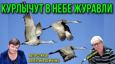 Лучше ли синица в руках, чем журавль в небе? (Дина Штейнгарц) / Проза.ру