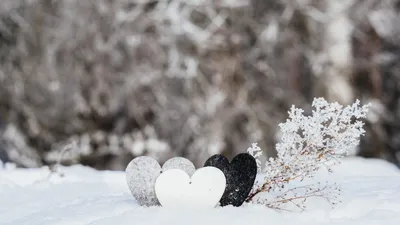 Снег зима любовь сердце снег рукописная любовь фотография карта с  картинками Фон И картинка для бесплатной загрузки - Pngtree