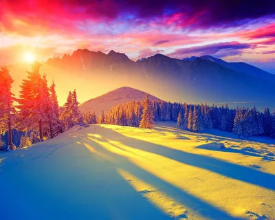 Картинки зима, снег, горы, солнце, рассвет, ели - обои 1280x1024, картинка  №158574 | Пейзажи, Идеи озеленения, Зимние сцены