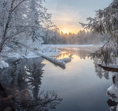 Красивый зимний рассвет фон с снегом зимой, зима, красивый, пресная фон  картинки и Фото для бесплатной загрузки