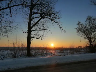 Фото Зимний рассвет на фотохостинге Fotoload