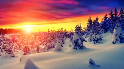 Зимний лес рассвет - 74 фото