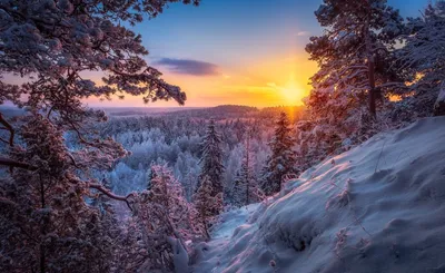 обои : природа, лес, Рассвет, Зима, Горы 4096x2734 - 4kWallpaper - 993003 -  красивые картинки - WallHere
