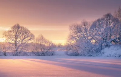 Зима, рассвет, утренние фонари» — создано в Шедевруме