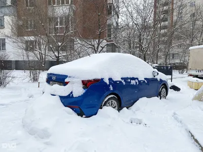 Краснодар, парк Галицкого | Пикабу