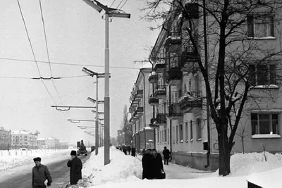 В Краснодаре высота снежного покрова достигла рекордной для января отметки  :: Krd.ru