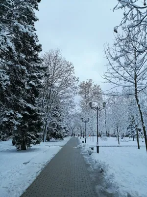 Первый снег и девятибалльные пробки парализовали движение в Краснодаре -  Российская газета