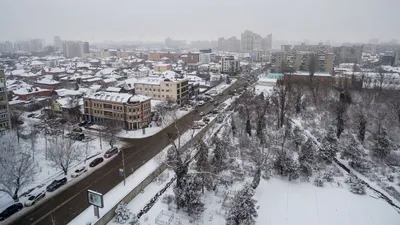 В Краснодаре ввели режим повышенной готовности - РИА Новости, 14.02.2023