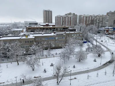 Самая снежная зима в Краснодаре, за последние 8 лет | Жизнь и Чувства | Дзен