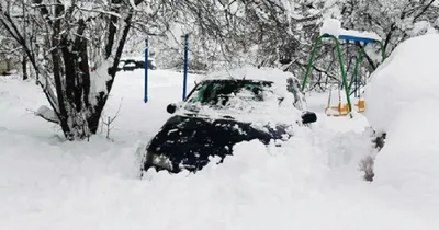 В Краснодаре началась настоящая зима - Кубанские новости