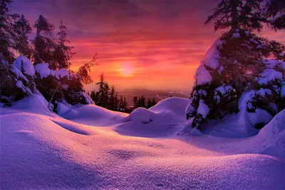 Закат зимой — Фото №236599