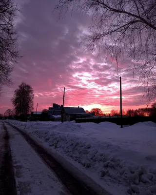 Зимний закат / фото