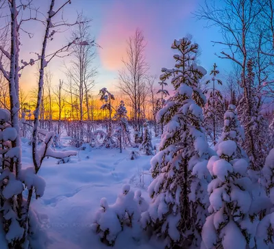 Зима в разгаре.Зимний закат. Красивая природа | Альбертик Мальбертик | Дзен